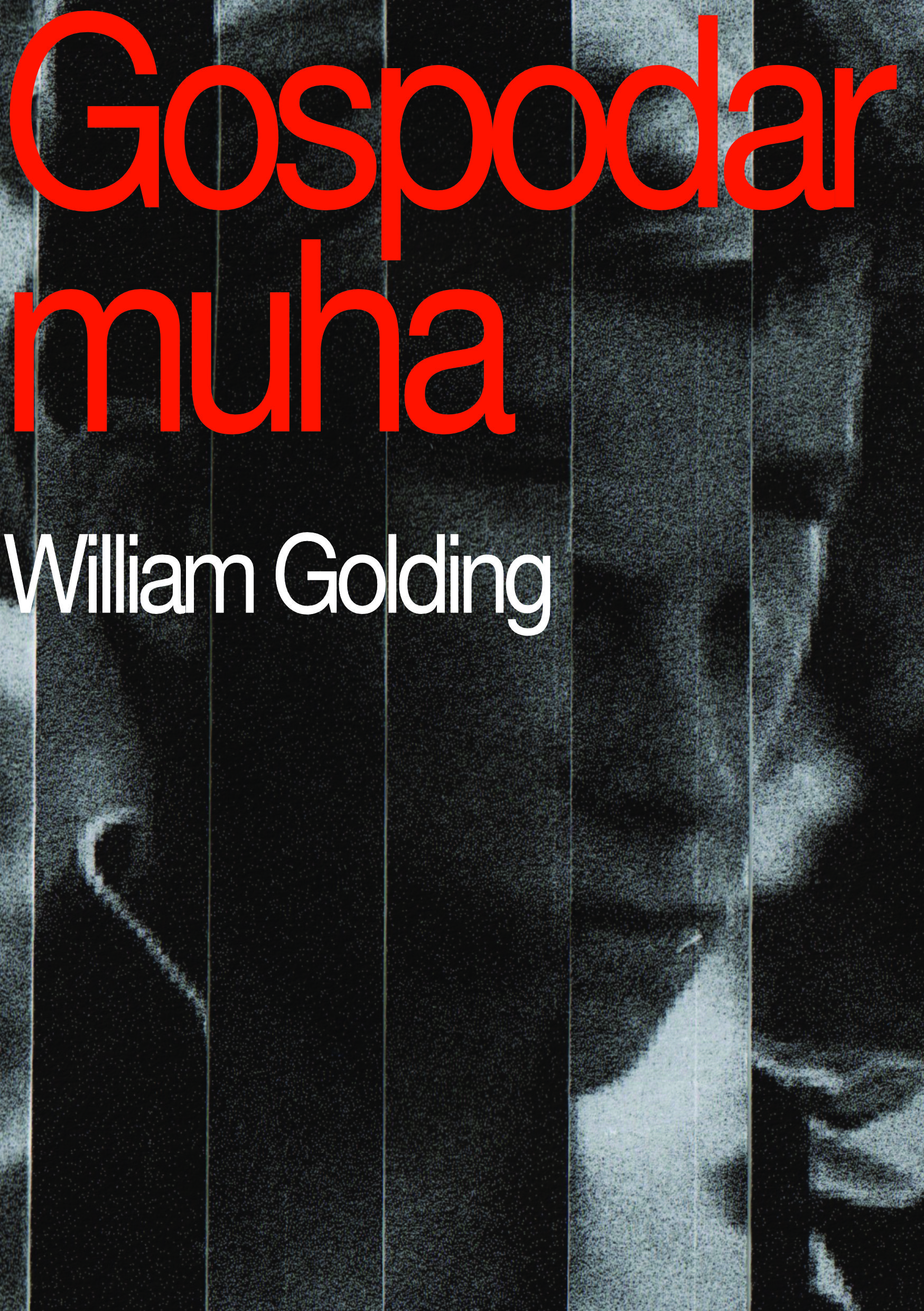 Naslovnica knjige Gospodar muha